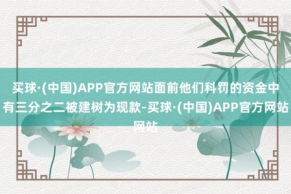 买球·(中国)APP官方网站面前他们科罚的资金中有三分之二被建树为现款-买球·(中国)APP官方网站