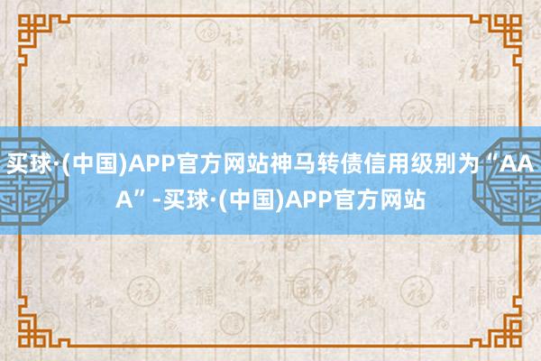 买球·(中国)APP官方网站神马转债信用级别为“AAA”-买球·(中国)APP官方网站