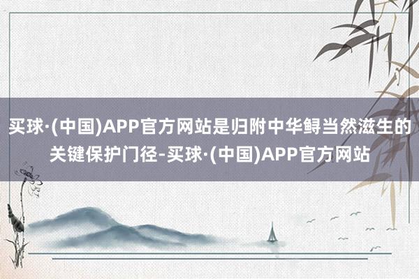 买球·(中国)APP官方网站是归附中华鲟当然滋生的关键保护门径-买球·(中国)APP官方网站