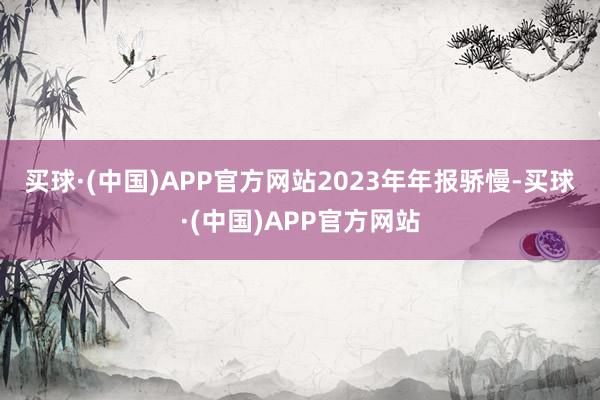 买球·(中国)APP官方网站　　2023年年报骄慢-买球·(中国)APP官方网站