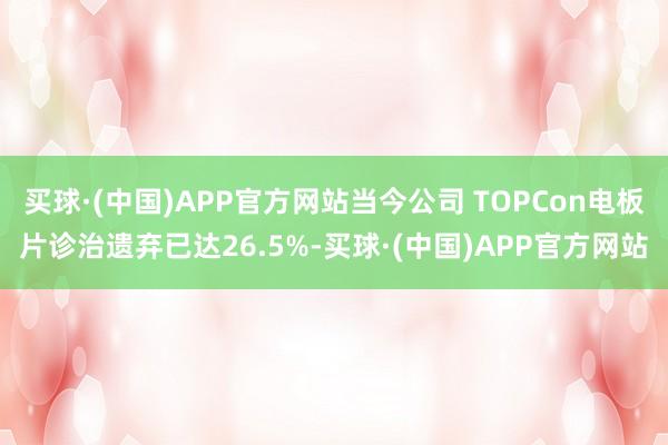 买球·(中国)APP官方网站当今公司 TOPCon电板片诊治遗弃已达26.5%-买球·(中国)APP官方网站