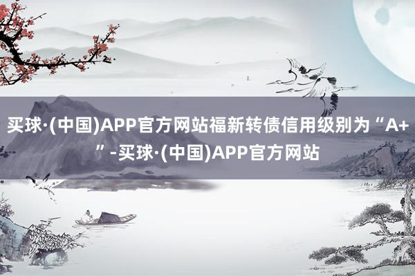 买球·(中国)APP官方网站福新转债信用级别为“A+”-买球·(中国)APP官方网站