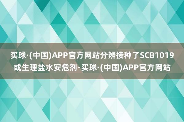 买球·(中国)APP官方网站分辨接种了SCB1019或生理盐水安危剂-买球·(中国)APP官方网站