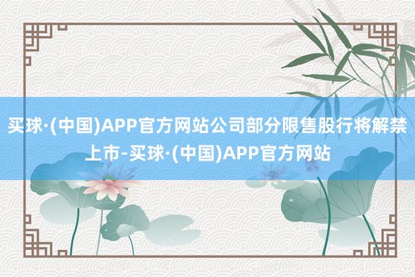 买球·(中国)APP官方网站公司部分限售股行将解禁上市-买球·(中国)APP官方网站