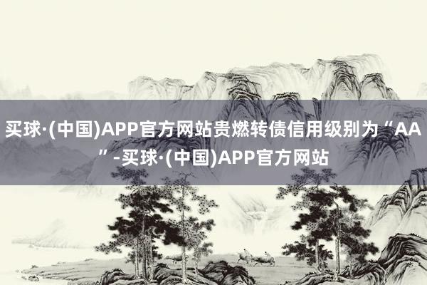 买球·(中国)APP官方网站贵燃转债信用级别为“AA”-买球·(中国)APP官方网站