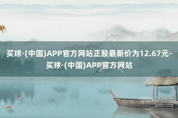 买球·(中国)APP官方网站正股最新价为12.67元-买球·(中国)APP官方网站