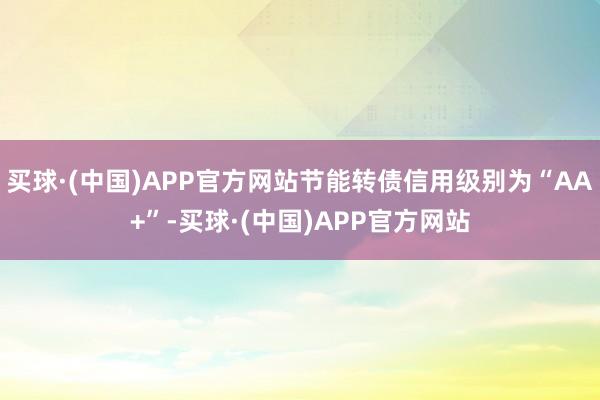 买球·(中国)APP官方网站节能转债信用级别为“AA+”-买球·(中国)APP官方网站