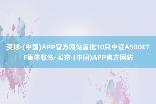 买球·(中国)APP官方网站首批10只中证A500ETF集体收涨-买球·(中国)APP官方网站