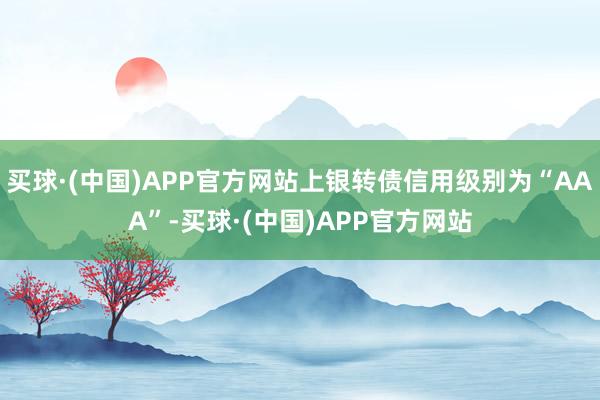 买球·(中国)APP官方网站上银转债信用级别为“AAA”-买球·(中国)APP官方网站