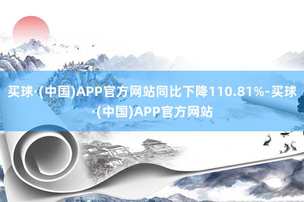 买球·(中国)APP官方网站同比下降110.81%-买球·(中国)APP官方网站