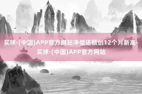 买球·(中国)APP官方网站净偿还额创12个月新高-买球·(中国)APP官方网站