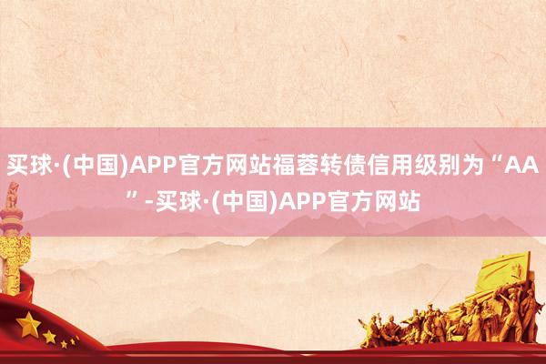 买球·(中国)APP官方网站福蓉转债信用级别为“AA”-买球·(中国)APP官方网站