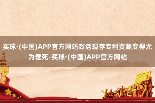 买球·(中国)APP官方网站激活现存专利资源变得尤为垂死-买球·(中国)APP官方网站