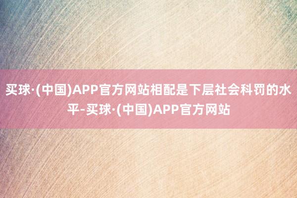 买球·(中国)APP官方网站相配是下层社会科罚的水平-买球·(中国)APP官方网站