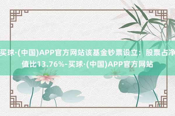 买球·(中国)APP官方网站该基金钞票设立：股票占净值比13.76%-买球·(中国)APP官方网站