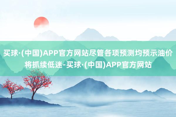 买球·(中国)APP官方网站尽管各项预测均预示油价将抓续低迷-买球·(中国)APP官方网站