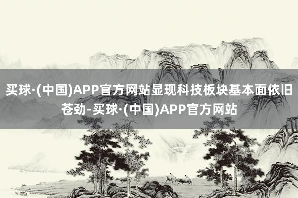 买球·(中国)APP官方网站显现科技板块基本面依旧苍劲-买球·(中国)APP官方网站