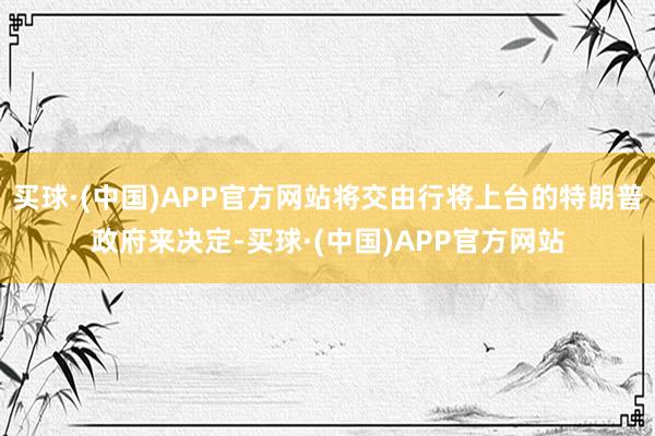 买球·(中国)APP官方网站将交由行将上台的特朗普政府来决定-买球·(中国)APP官方网站