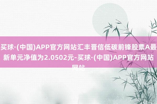 买球·(中国)APP官方网站汇丰晋信低碳前锋股票A最新单元净值为2.0502元-买球·(中国)APP官方网站