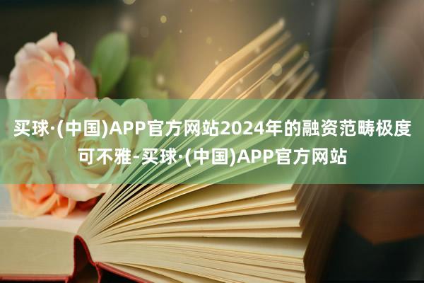 买球·(中国)APP官方网站2024年的融资范畴极度可不雅-买球·(中国)APP官方网站