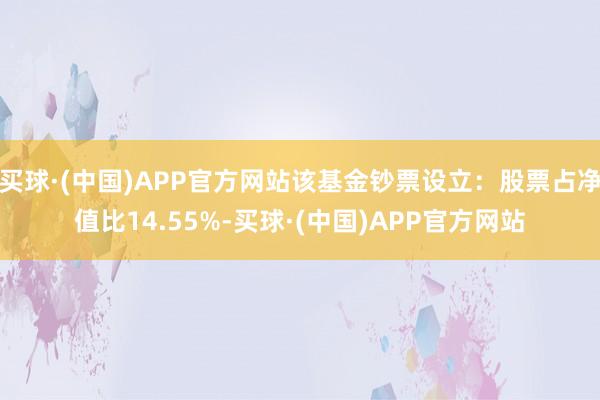 买球·(中国)APP官方网站该基金钞票设立：股票占净值比14.55%-买球·(中国)APP官方网站