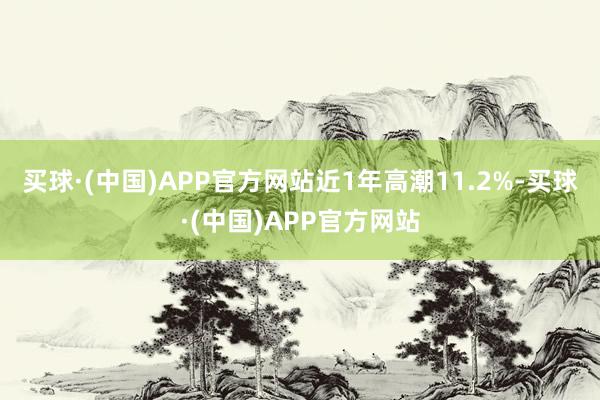 买球·(中国)APP官方网站近1年高潮11.2%-买球·(中国)APP官方网站