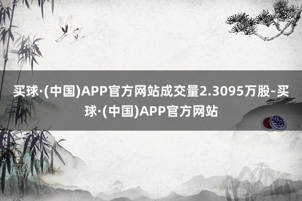 买球·(中国)APP官方网站成交量2.3095万股-买球·(中国)APP官方网站